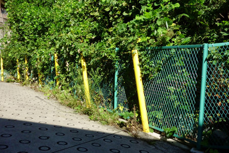 A pattern of chain link fences separating the bush site from the sidewalkの写真素材
