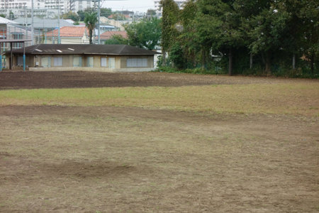 Green lawns and grounds in a park with open vacant lots near the cityの写真素材