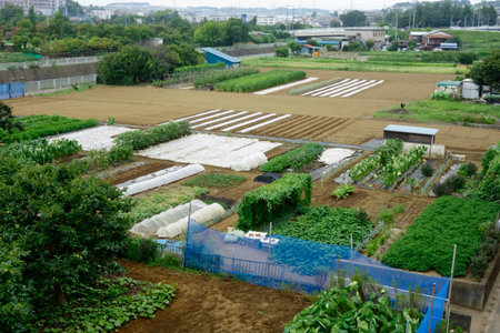 A tranquil landscape pattern of rural life with a field patternの写真素材