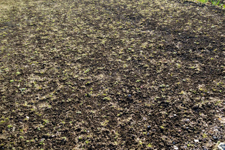 Soil brown texture with cracks and scratches that can be used as a backgroundの写真素材
