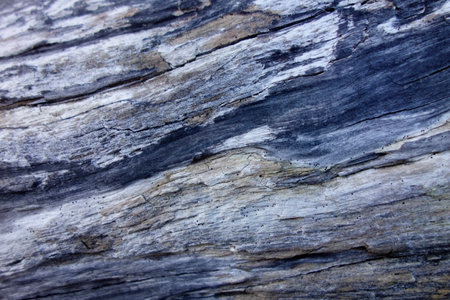 Old wood background texture pattern with dubious patternsの写真素材