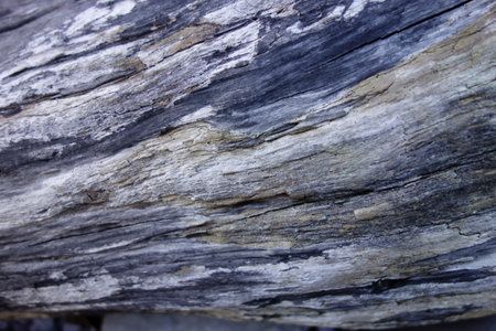 Old wood background texture pattern with dubious patternsの写真素材