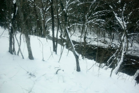 Severe natural image of snow blowing over shrubs, rivers and lakes during the harsh winterの写真素材