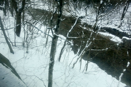 Severe natural image of snow blowing over shrubs, rivers and lakes during the harsh winterの写真素材