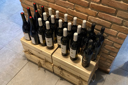 11/05/2023, Georgia Tbilisi, Wine Taste Many wine bottles under the tableのeditorial素材