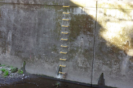 Evacuation ladder for emergencies installed on the riverbedの写真素材