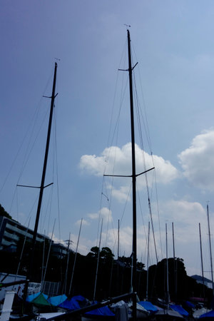 Hayama Marina, Kanagawa Prefecture, Japan, August marina scene in midsummerの写真素材
