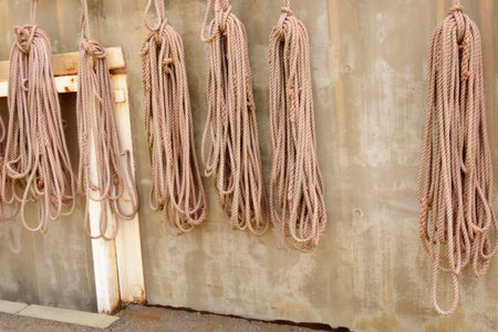 A bundle of ropes with various strands hangs on the wall of a seaside warehouse