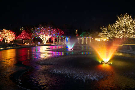 Christmas Lights On Pondのeditorial素材