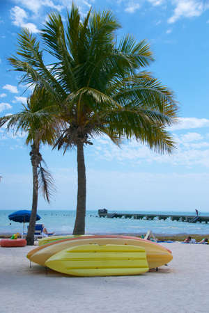 kayaks rest by a palm tree at Higgs Beach in Key Westのeditorial素材