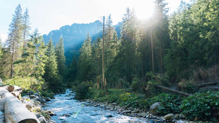 View of a Koscielisko Valley in polish Tatras Poland.の写真素材