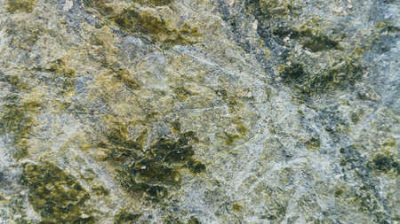 Stone texture background Serpentinite wide angle lightの写真素材