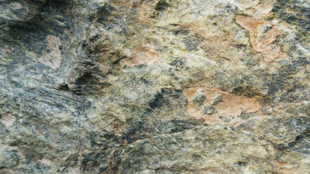 Stone texture background Serpentinite wide angle lightの写真素材