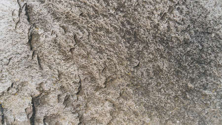 Stone texture background. Miekinia porphyry make an edgy, yet earthy background for any project.の写真素材