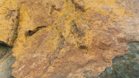 Stone texture background. Istebna sandstone usable as texture or backgroundの写真素材