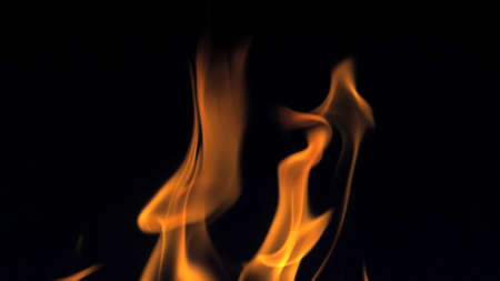 Fire flames on black background.