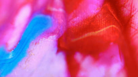 Macro skin, according to the folds of whichの写真素材