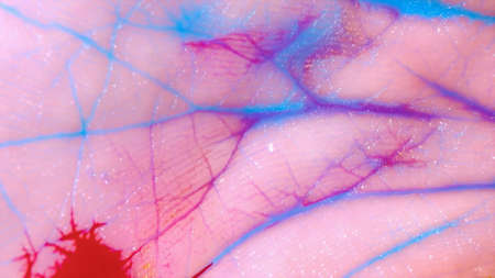 Macro skin, according to the folds of which