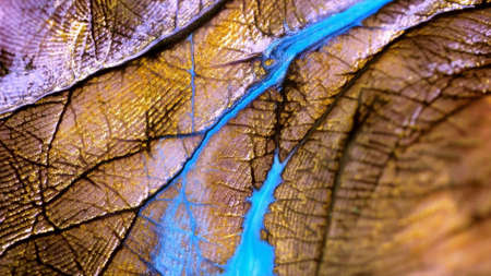 Macro skin, according to the folds of which
