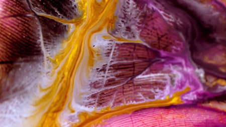 Macro skin, according to the folds of whichの写真素材