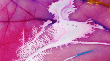 Macro skin, according to the folds of which