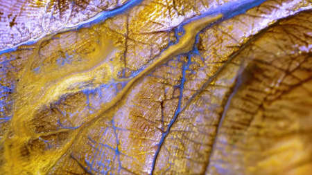 Macro skin, according to the folds of which