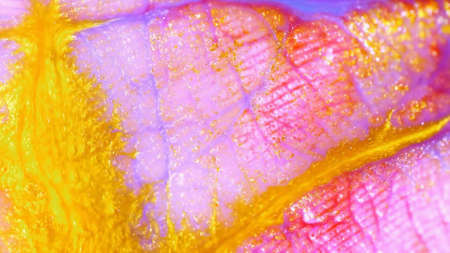 Macro skin, according to the folds of which