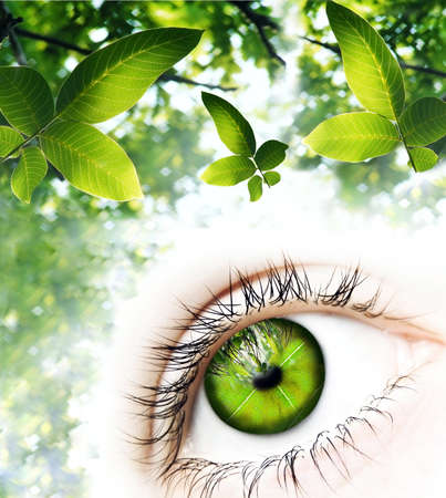 One human eye made of green leaves surrounded by elements of nature A green vision for a better world  の写真素材