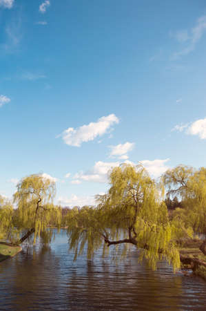 Trees and lake in Tineterului park, Bucharest, Romania. Green nature shot in bright light under a cloudy skyのeditorial素材