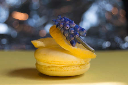 Gourmet small colorful French macarons with lemon flavor, colorful bokeh and violet.の写真素材