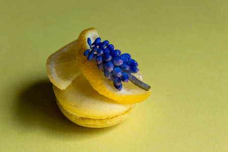 Gourmet small colorful French macarons with lemon flavor and decorative violet.の写真素材