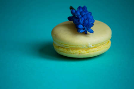 One yellow lemon macaroon on blue background.の写真素材