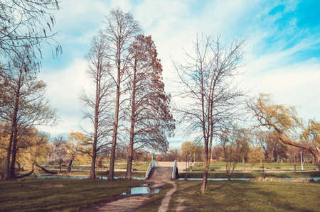 View in a park with bridge and trees near a lake toned with a retro vintage filterの写真素材