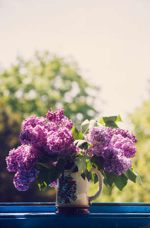 Lilac in a Vase at the window against colorful background.の写真素材