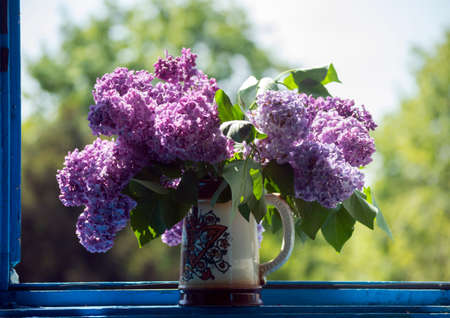 Lilac in a Vase at the window against colorful background.の写真素材