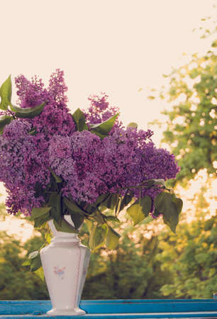 Lilac in a Vase at the window against colorful background.の写真素材
