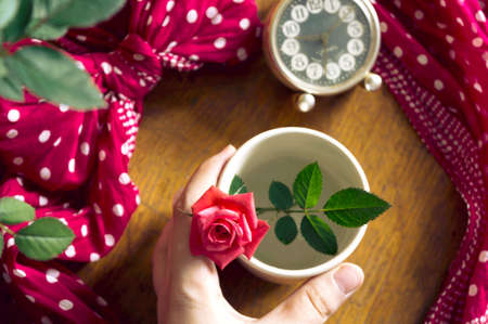 Beautiful fresh rose in a cup on a wooden table and vintage alarm clock. Hand holding the cup.の写真素材