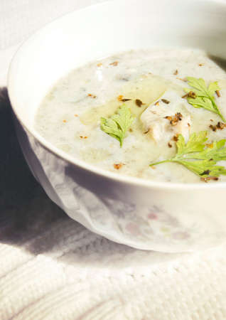 Closeup of bowl of chicken cream stew  with muchrooms and parsley.