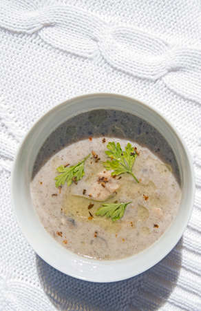 A bowl of chicken cream stew  with muchrooms and parsley.の写真素材