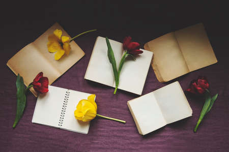 Open vintage books and tulips on purple cloth. Top viewの写真素材