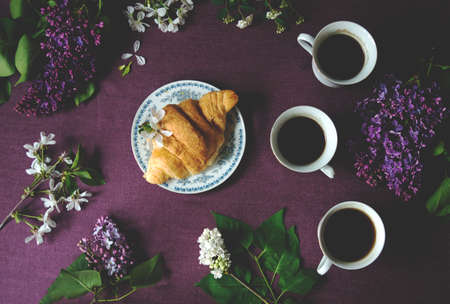 Breakfast table with coffee, croissants and spring flowers on purple cloth.の写真素材