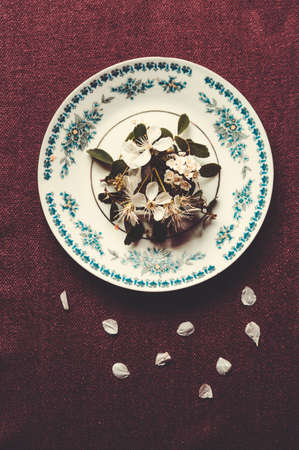 Plate with spring flowers and petals on a table. Top viewの写真素材