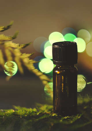 Aromatherapy oil with fern leaf and green bokeh.の写真素材
