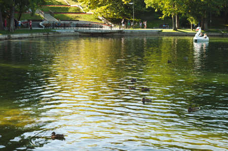 Bucharest, ROMANIA - August 14 2016: Ducks on the lake and people strolling through IOR park. BUCHAREST -August 14 2016のeditorial素材