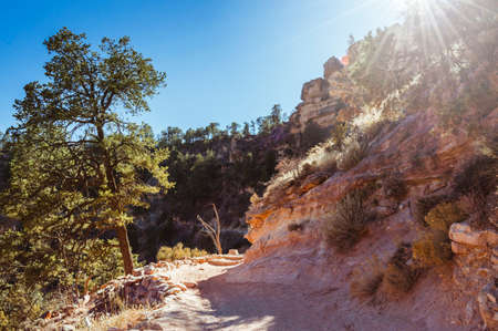 Afternoon on the Bright Angel trail in the Grand Canyonの写真素材