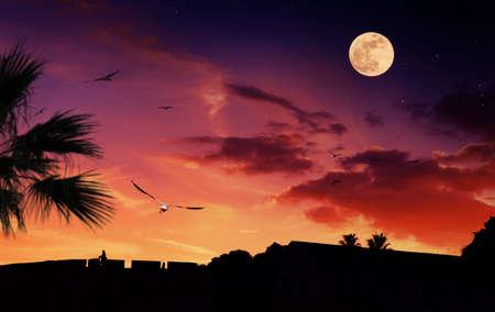 Tropical scenery with sunset and moonrise. Surreal scene with giant moon.の写真素材