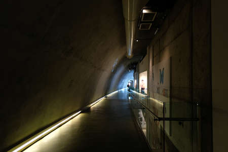 Hallway in Charles Darwin Centers Cocoon at the Natural History Museumのeditorial素材