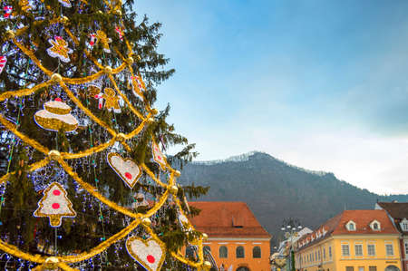 Christmas tree in the center of Brasov, with a view towards Tampa mountain.のeditorial素材