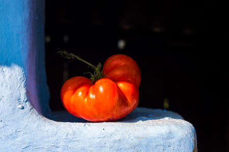Big red tomato grown in the grandmother's garden, placed on an old hand-painted outdoor oven.の写真素材