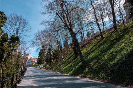 Alley surrounded by nature, leading to the Tailors Tower.